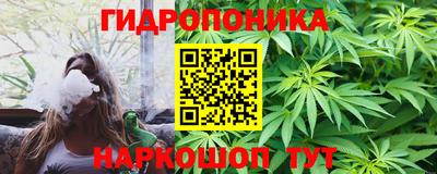 хмурый Сланцы