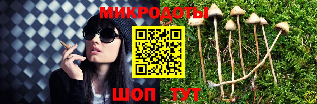 Галлюциногенные грибы GOLDEN TEACHER Мичуринск